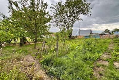 Casa + teren 4430 mp, vie si pomi fructiferi, 22 km de Tecuci - 11