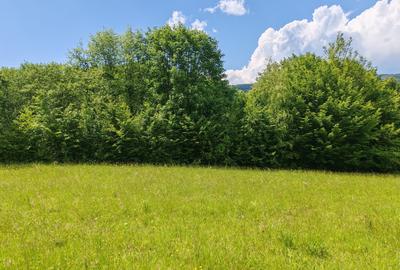 2,2 HA TEREN EXTRAVILAN FANEATA, Muntii Apuseni, Ciucea - Cluj, la 5 km de E60 - 4