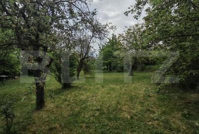 Teren de 14000 mp, în Mihai Viteazu - 14