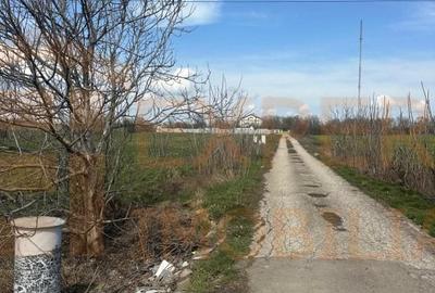 Teren Construcții extravilan de 18000 mp, în Valu lui Traian - 4