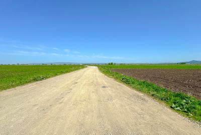 Teren intravilan, 1.7 hectare, Stupini Strada Barsei - 4