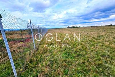 SUPER OFERTA! Teren 2000mp - Valea Avrigului, Sibiu SUPER OFERTA! Teren 2000mp - Valea Avrigului, Sibiu - 7