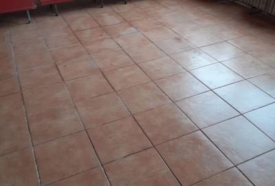 Spațiu comercial, de 100 mp, în Tileagd - 4