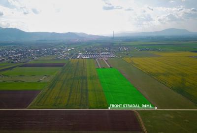 Teren Construcții extravilan de 42000 mp, în Tărlungeni - 5