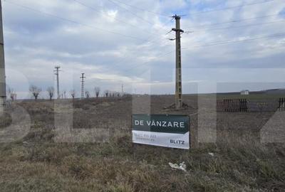 Oportunitate Investitie, Teren intravilan 15000 mp, zona Mis - 5