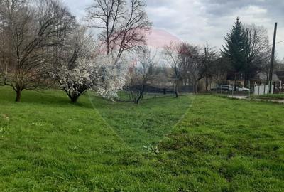 Casă individuală cu 7 camere cu Teren 3580 Mp în Tohănița - 39