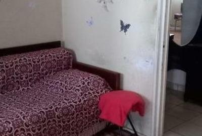 METROU Raul Doamnei 3 camere - 3