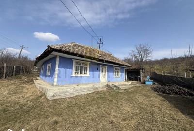 Casă cu 2 camere cu Teren 1191 Mp în Canta - 1