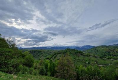7.000 mp, pozitie spectaculoasa, fara vecini, Fundatica, Brasov - 4