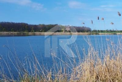 Teren Construcții intravilan de 10000 mp, în Grădiștea