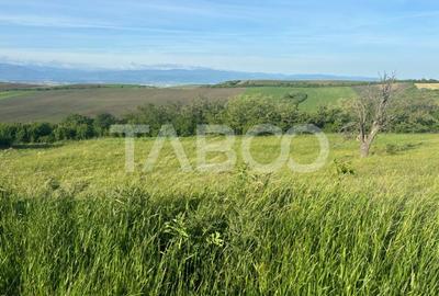 Teren de vanzare intravilan 8900mp Sura Mare zona deosebita - 3