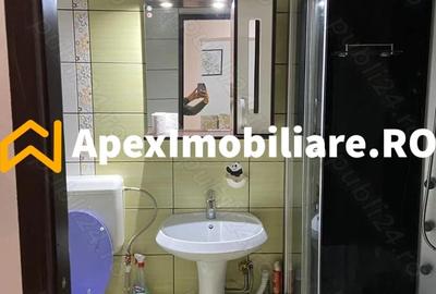 Apartament cu 2 camere decomandat, mobilat în Doamna Ghica - 4