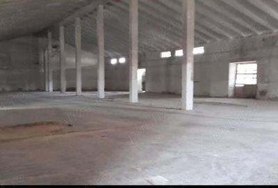 Spațiu comercial, de 1,000 mp, în Agnita - 1