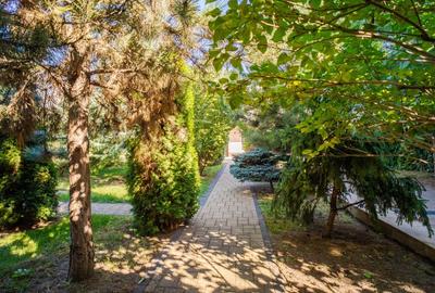 Vila Grandioasa 650 mp+Spatiu Comercial 110 mp Tatarasi Teren 968 mp Vila Grandioasa 650 mp+Spatiu Comercial 110 mp Tatarasi Teren 968 mp - 20