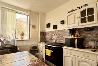 Apartament cu 2 camere semidecomandat, mobilat în Rogerius - 3