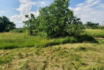 Teren de 3600 mp, în Central - 2