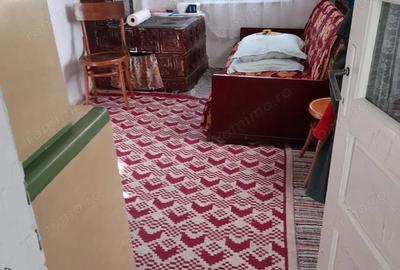 Casă cu 3 camere cu Teren 2500 Mp în Vitioara de Sus - 5