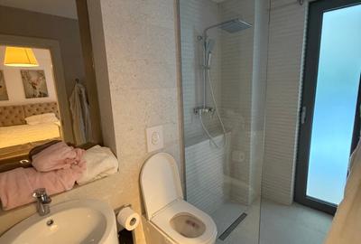 Casă individuală cu 11 camere cu Teren 257 Mp în Herăstrău - 9