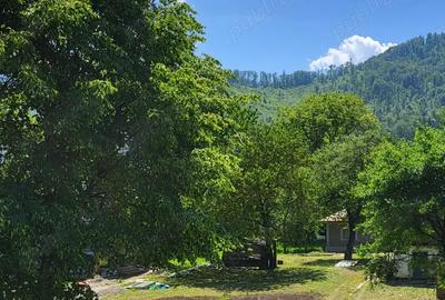 Casă cu 3 camere în Tarcău - 8