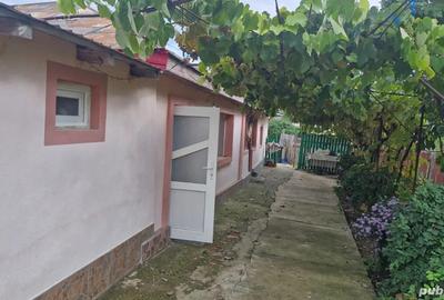 2 case vanzare obrejita - 2