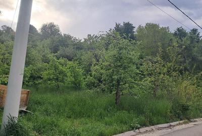 Teren de 4034 mp, în Văleni-Dâmbovița - 1