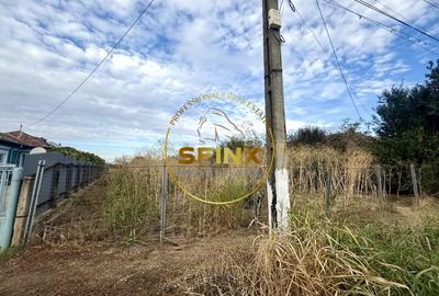 Teren 3905 mp Manasia, pozitie la drum judetean - 4