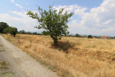 Teren de 600 mp, în Central - 4