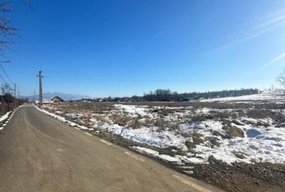 OPORTUNITATE pt Dezvoltatori de case zona Penitenciar ! - 19