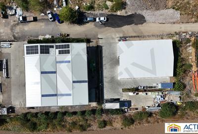 Hala Conti Impex Magurele Hala Conti Impex Magurele - 3