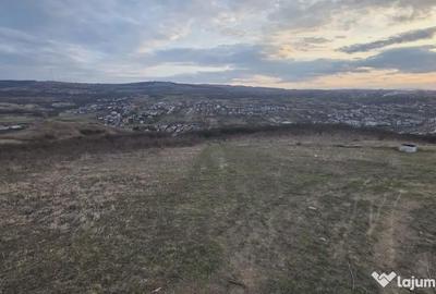 Teren de 697 mp, în Borhanci - 2