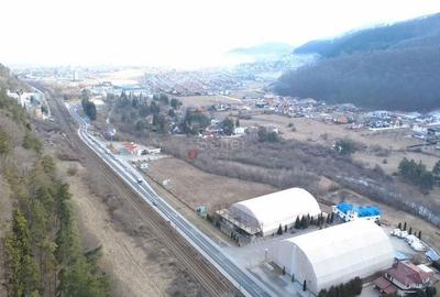 Teren de 8444 mp, în Timișu de Jos