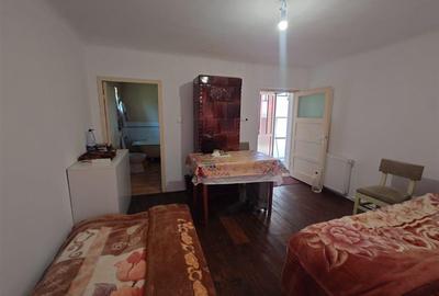 Casă individuală cu 4 camere cu Teren 3892 Mp în Baia de Criș - 15