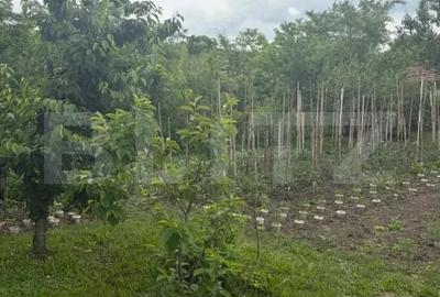 Casă cu 3 camere cu Teren 798 Mp în Cornești (Crăciunești) - 2