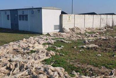 Teren de 21300 mp, în Lungulețu - 3