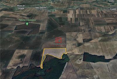 Teren agricol Corbii Mari, Dambovita - 8