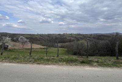 Teren de 5000 mp, în Bucuroaia - 6