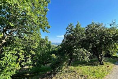 Teren de 9409 mp, în Roșia - 2