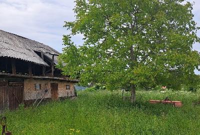 Casă cu 4 camere în Crăcăoani - 4