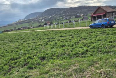 Spațiu comercial, în Cristian - 5