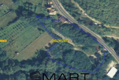 Teren de 7432 mp, în Săsciori - 6