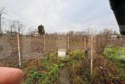 Casa Soroceni 2300mp - 11