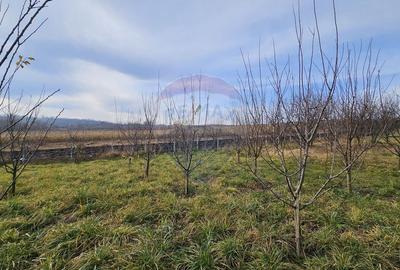 Teren extravilan de 10791 mp, în Fălticeni - 3