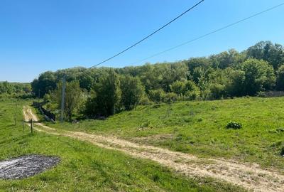 Teren agricol intravilan de 650 mp, în Central - 1