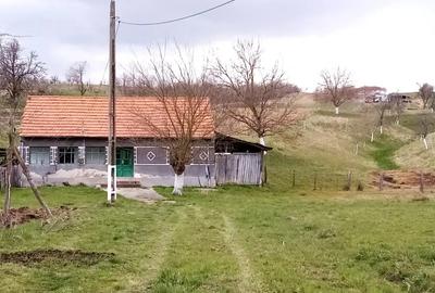 Casa din caramida cu teren la tara Casa din caramida cu teren la tara - 2