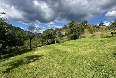 Teren de 5500 mp, în Râu Sadului