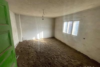 Casă cu 5 camere cu Teren 8000 Mp în Orlești - 8