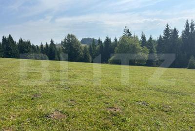 Teren de 20000 mp, în Central - 8