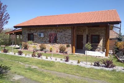 Casă individuală cu 3 camere cu Teren 3621 Mp în Mihăești - 2