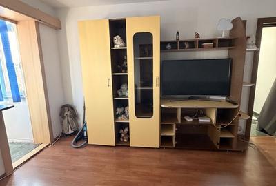 Casă cu 2 camere în Craiovița Nouă - 3