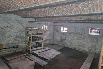 Poveste saseasca la umbra vitei de vie, cu crama si gradina cu flori, Central Co - 34